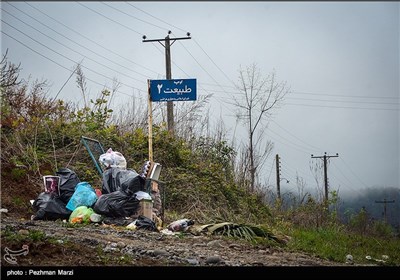 یادگاری های روز طبیعت - مازندران