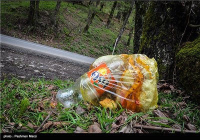 یادگاری های روز طبیعت - مازندران