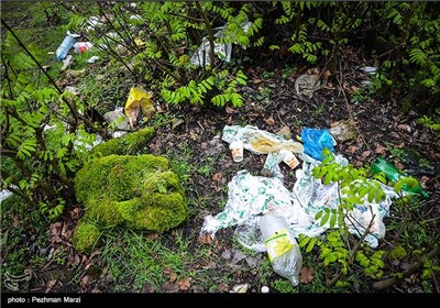 یادگاری های روز طبیعت - مازندران