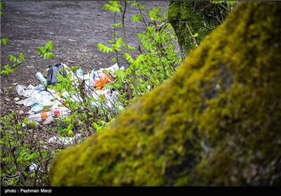 یادگاری های روز طبیعت - مازندران