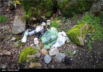 یادگاری های روز طبیعت - مازندران