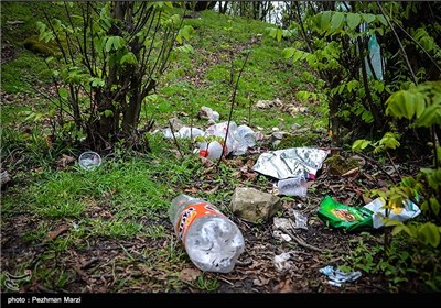 یادگاری های روز طبیعت - مازندران