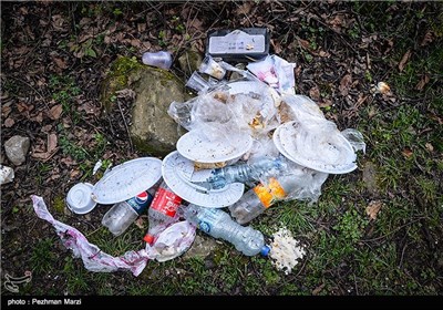 یادگاری های روز طبیعت - مازندران