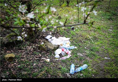 یادگاری های روز طبیعت - مازندران