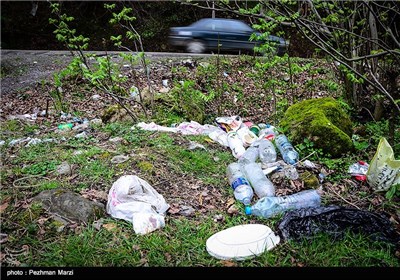 یادگاری های روز طبیعت - مازندران