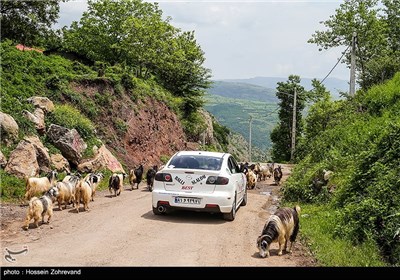 اولین رالی خانوادگی تهران - شمال