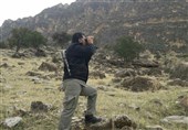 سرشماری پاییزه حیات وحش پناهگاه خارو در اردستان