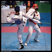 هفته ششم لیگ برتر تکواندو