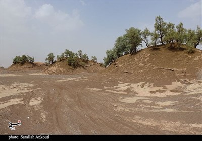 خاک؛ میراثی در خطر/ 28 کانون بحرانی فرسایش بادی در شمال استان کرمان