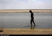 مرگ 60 درصد تالابهای ایران در تابستان 1404 | افت 20 درصدی بارندگی