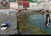 آب تنی در چشمه علی 