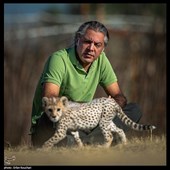 علیرضا شهرداری، متخصص و تیمارگر حیات وحش