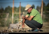 علیرضا شهرداری، متخصص و تیمارگر حیات وحش