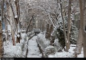 تداوم یخبندان و‌ سرما تا دوشنبه/دمای هوای اصفهان 12 درجه کاهش می‌یابد