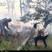 دستور قالیباف برای بررسی علت آتشسوزی جنگل الیت/ برنامه صیانت باید تدوین شود