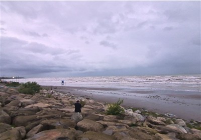 پایان تصرف دریا در نوشهر/ عدالت تا لب ساحل رسید/ دریا نفس کشید