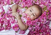 ثبت رسمی رویداد فرهنگی «گل غلتان نوزاد» در تقویم رویدادهای گردشگری