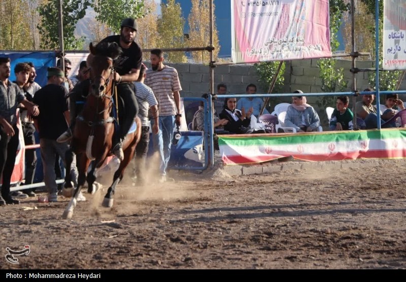 «جام سبلان» در میانه تاخت؛ اولین جشنواره شو سواره کشور برگزار شد