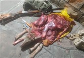 دستگیری 2 شکارچی غیرمجاز در منطقه حفاظتشده کهیاز اردستان