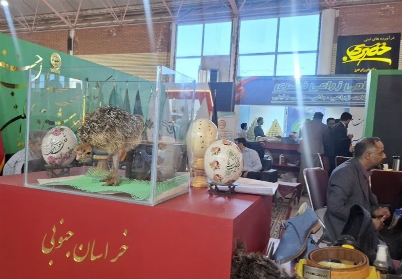 اخبار استان خراسان جنوبی , کشور افغانستان , 