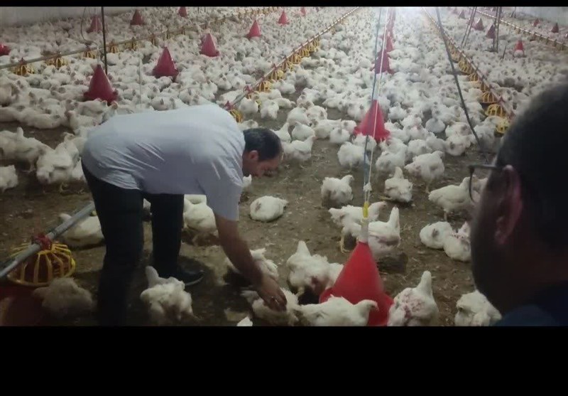 جهاد سازندگی , گروههای جهادی , اخبار سمنان , اخبار دامغان ,