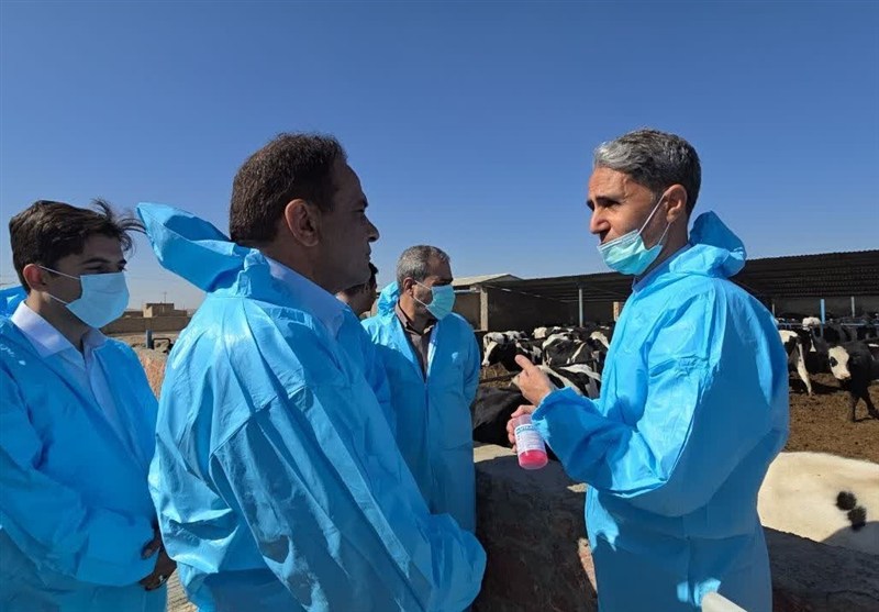 اخبار گناباد , خراسان رضوی , اخبار استان خراسان رضوی , اخبار مشهد , تب برفکی ,