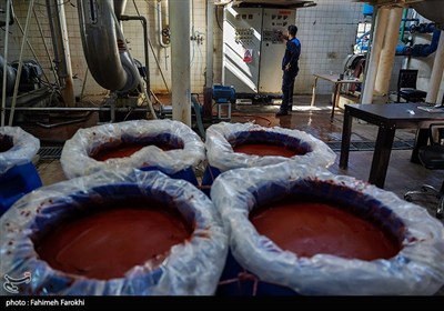 افشای یک تقلب گسترده؛ رب غیر استریل جای صادرات رب اسپتیک را گرفت
