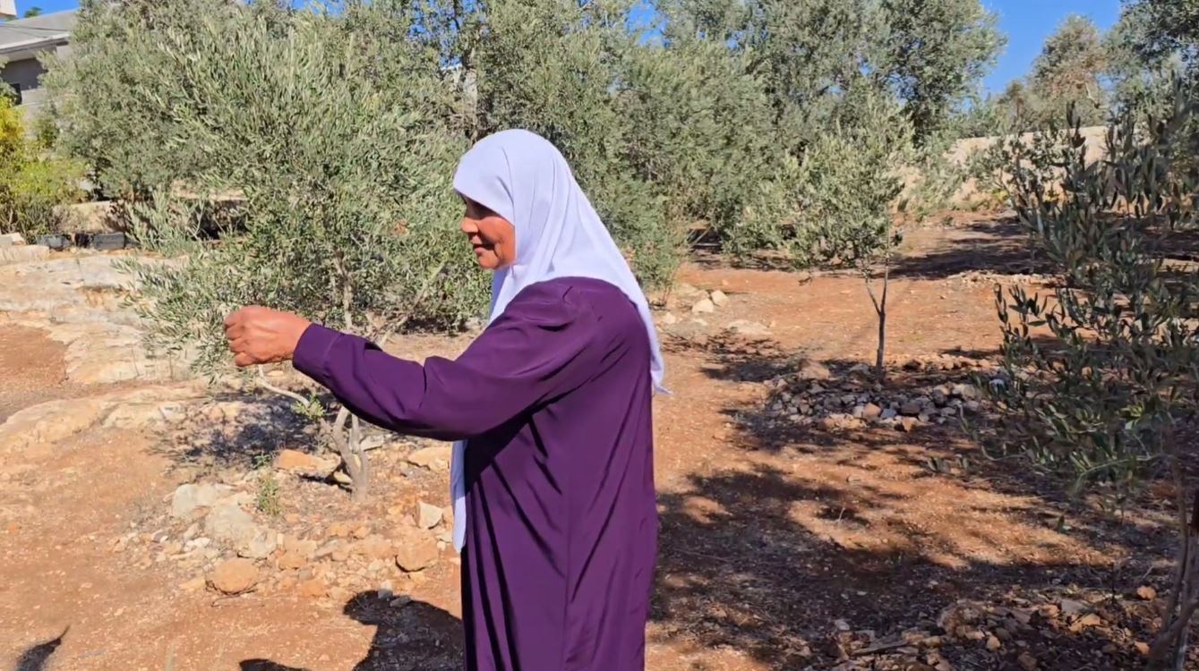 معاناة الأسرى الفلسطينيين , الأسرى الفلسطينيون , تبادل الأسرى , إعدام الأسرى , الإهمال الطبي للأسرى الفلسطينيين , 