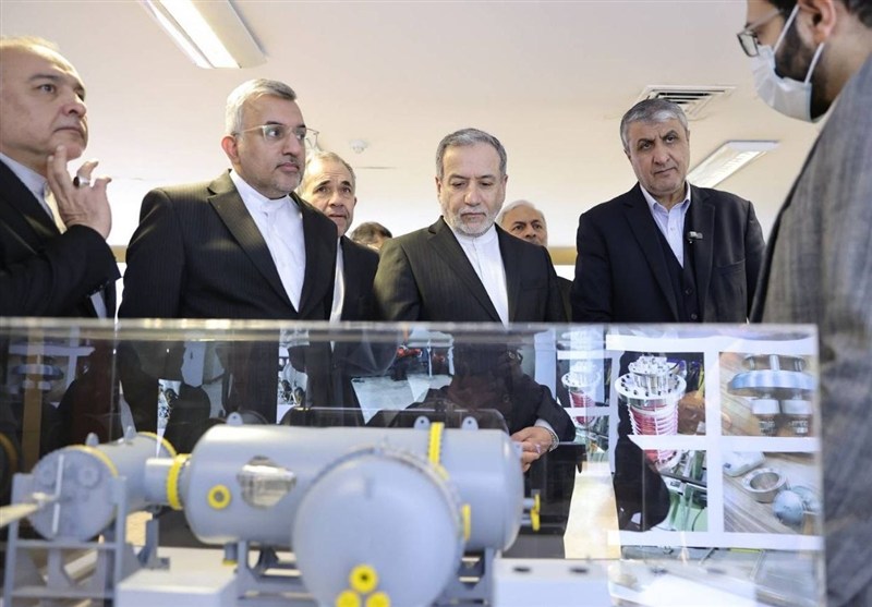 سید عباس عراقچی , صنعت هستهای , سازمان انرژی اتمی ایران ,