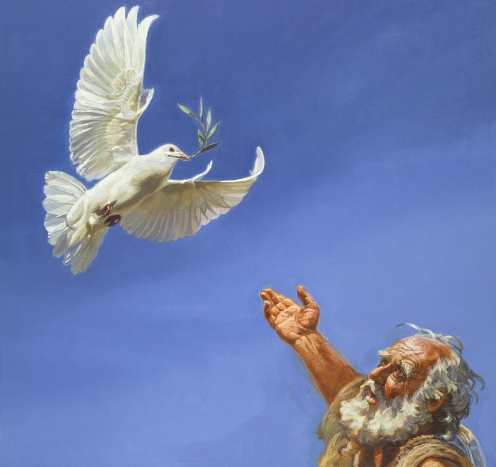 احتلال فلسطین عام 1948 , تشکیلات خودگردان فلسطین , عرفات , أشجار الزیتون , شجرة الزیتون , کرانه باختری , الضفة الغربیة , صهیونیسم , تخریب , بیت المقدس ,