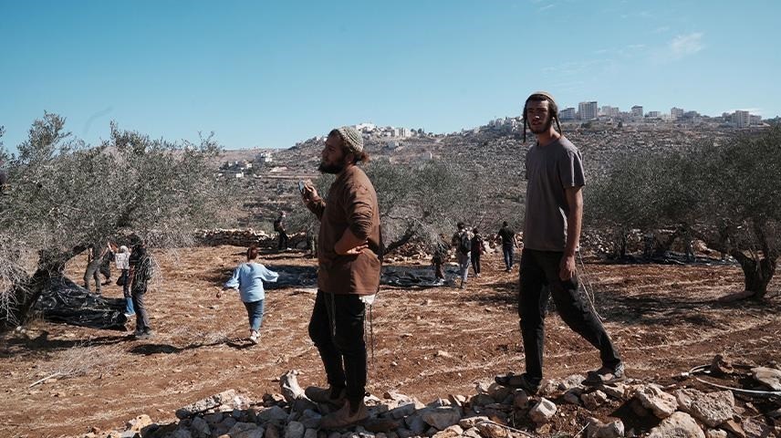 احتلال فلسطین عام 1948 , تشکیلات خودگردان فلسطین , عرفات , أشجار الزیتون , شجرة الزیتون , کرانه باختری , الضفة الغربیة , صهیونیسم , تخریب , بیت المقدس ,