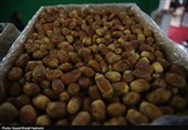 فارس آماده نقشآفرینی در تجارت جهانی خرما/ از فرآوری تا ارزآوری صادراتی