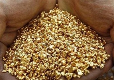 سرقت نیم کیلو طلا با همدستی پسر خانواده/ خرید باغ و زمین با پول دزدی