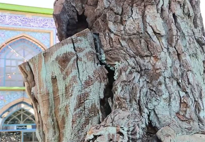 اخبار استان همدان ,