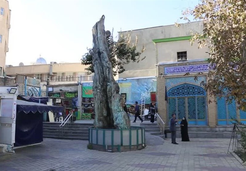 اخبار استان همدان ,