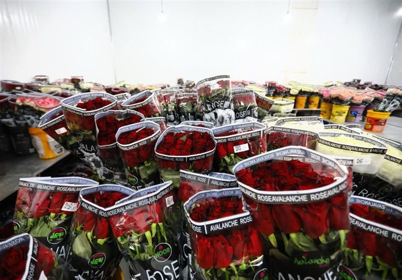 اخبار استان همدان , اخبار نهاوند ,