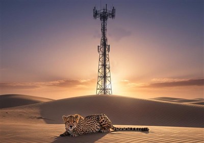 یوزپلنگ آسیایی زیر چتر فناوری