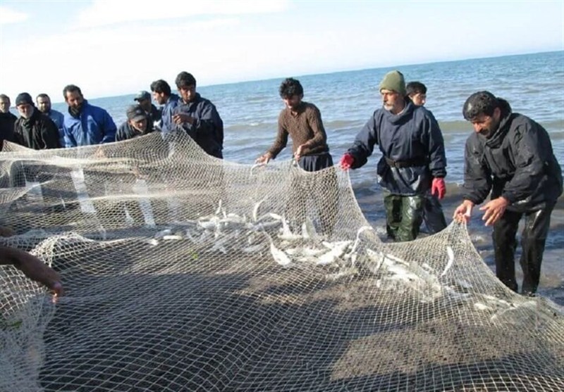 توقیف 17 شناور متخلف صید غیرمجاز آبزیان در آب‌های ساحلی تنگستان