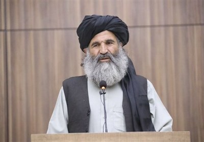 طالبان: کشورهای منطقه برای کشت جایگزین خشخاش همکاری کنند