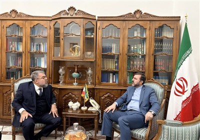 غریب آبادی: روابط با برزیل پتانسیل قابل توجهی برای گسترش دارد