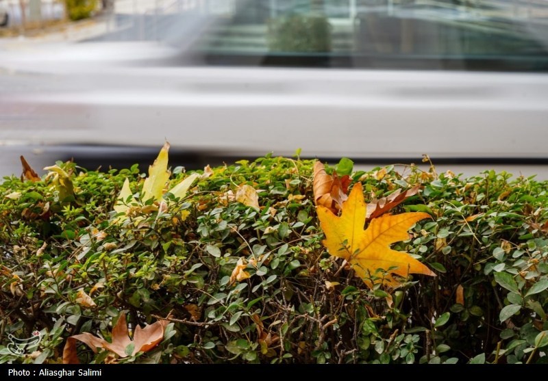 `پاییز , اخبار استان خراسان شمالی , 