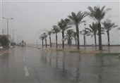 60 میلیمتر بارش باران در شمال استان بوشهر ثبت شد