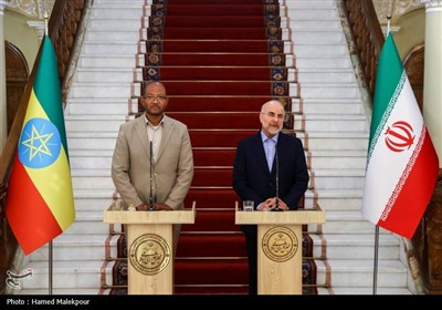دیدار و کنفرانس خبری مشترک رؤسای مجالس ایران و اتیوپی