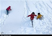 بارش برف در ارتفاعات تاریکدره همدان