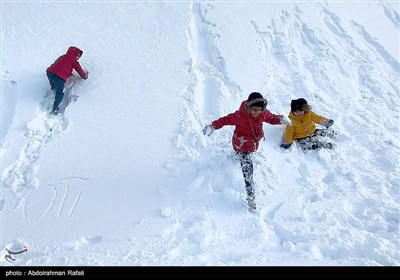 بارش برف در ارتفاعات تاریکدره همدان