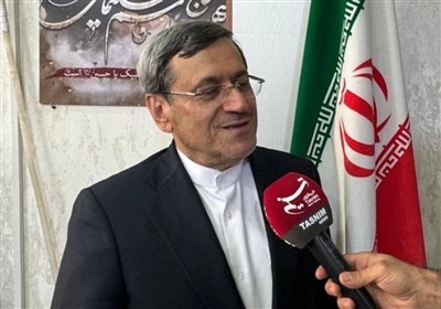 قشقاوی: مجلس از ظرفیت بالای نمایندگان استفاده نکرده است