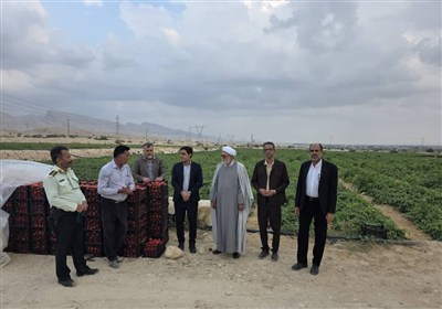 ادامه صادرات محصولات کشاورزی جنوب بوشهر