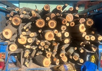 8 تن هیزم جنگلی در اردبیل کشف و ضبط شد