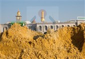 نمایان شدن شِنهای زرد در نزدیکی حرم امام حسین (ع) + فیلم و عکس