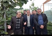 بازدید مدیرعامل تعاون روستایی از ظرفیت‌های بخش کشاورزی استان مرکزی